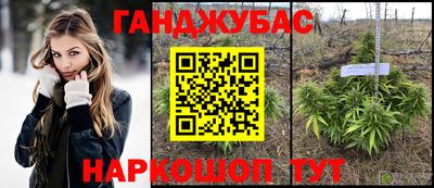 эйфоретик Славгород
