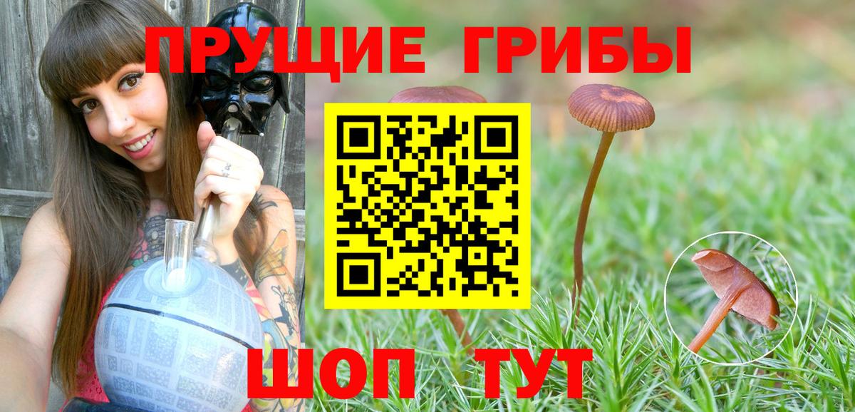 Псилоцибиновые грибы Magic Shrooms Петропавловск-Камчатский