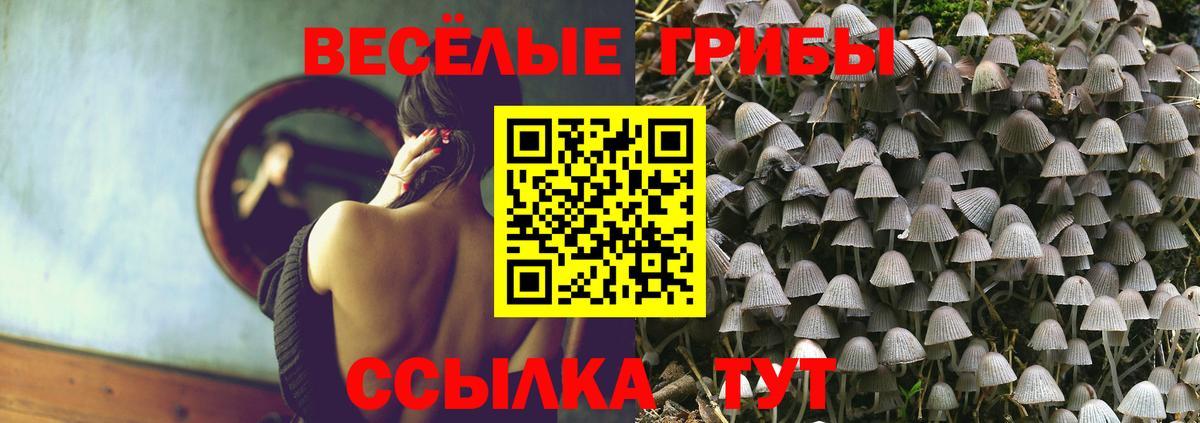 Галлюциногенные грибы прущие грибы  Вход с VPN  Петропавловск-Камчатский 